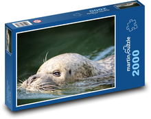 Morský lev - vodné živočíchy. zoologická záhrada Puzzle 2000 dielikov - 90 x 60 cm