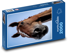 Pferd - Hengst, Mähne Puzzle 2000 Teile - 90 x 60 cm