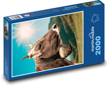 Krava - zvonček, slnko Puzzle 2000 dielikov - 90 x 60 cm