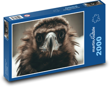 Vulture - bird, predator Puzzle 2000 pieces - 90 x 60 cm