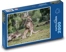Känguru - Beuteltier, Tier Puzzle 2000 Teile - 90 x 60 cm