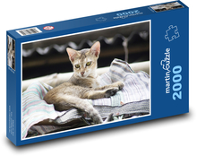 Cat - kitten, pet Puzzle 2000 pieces - 90 x 60 cm