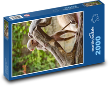 Affe - Zoo, Küken Puzzle 2000 Teile - 90 x 60 cm