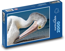 Pelican - water bird, animal Puzzle 2000 pieces - 90 x 60 cm