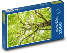 Strom - buk, listy  Puzzle 2000 dílků - 90 x 60 cm