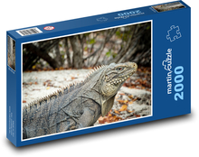 Leguan - Eidechse, Reptil Puzzle 2000 Teile - 90 x 60 cm