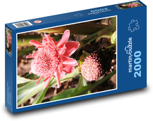 Passionsblumen - Regenwald, Blumen Puzzle 2000 Teile - 90 x 60 cm