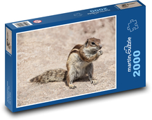 Wiewiórka - gryzoń, zwierzęta Puzzle 2000 elementów - 90x60 cm