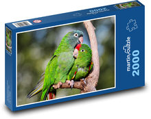 Papoušci - ptáci, zvířata Puzzle 2000 dílků - 90 x 60 cm