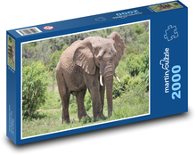 Elefant - Tier, Safari Puzzle 2000 Teile - 90 x 60 cm