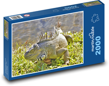 Leguán - plaz, zviera Puzzle 2000 dielikov - 90 x 60 cm