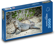 Legwan - jaszczurka, gad Puzzle 2000 elementów - 90x60 cm