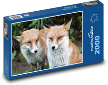 Füchse - Tiere, Säugetiere Puzzle 2000 Teile - 90 x 60 cm