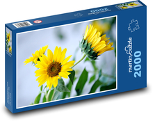 Sonnenblumen - gelbe Blumen Puzzle 2000 Teile - 90 x 60 cm