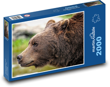 Medveď hnedý - Grizzly Puzzle 2000 dielikov - 90 x 60 cm