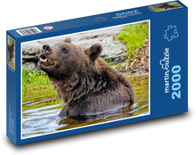 Bear in the water - grizzly Puzzle 2000 pieces - 90 x 60 cm