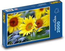 Sonnenblume - gelbe Blume Puzzle 2000 Teile - 90 x 60 cm