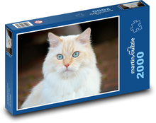 Bílá kočka domácí Puzzle 2000 dílků - 90 x 60 cm