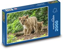 Lions - chicks Puzzle 2000 pieces - 90 x 60 cm