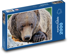 Braunbär Puzzle 2000 Teile - 90 x 60 cm