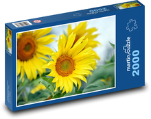 Blühende Sonnenblume - Gelbe Blume Puzzle 2000 Teile - 90 x 60 cm