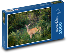 Deer in the forest Puzzle 2000 pieces - 90 x 60 cm