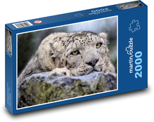Sněžný leopard  Puzzle 2000 - 90x60 cm