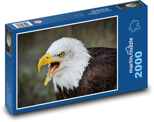 Seeadler! Puzzle 2000 Teile - 90 x 60 cm