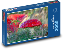 Red mushroom - toadstool Puzzle 2000 pieces - 90 x 60 cm