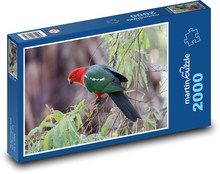 Australischer Königspapagei - ein Vogel auf einem Ast Puzzle 2000 Teile - 90 x 60 cm