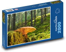Houba na pařezu - les, příroda Puzzle 2000 dílků - 90 x 60 cm