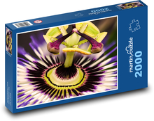 Passionsblume Puzzle 2000 Teile - 90 x 60 cm