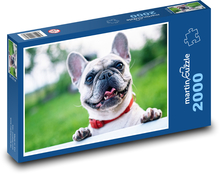 Francúzsky buldoček - Usmievajúci sa pes Puzzle 2000 dielikov - 90 x 60 cm