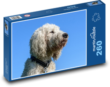 Pes - Goldendoodle Puzzle 260 dielikov - 41 x 28,7 cm 