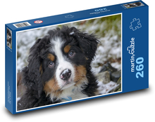 Uroczy berneński szczeniak górski Puzzle 260 elementów - 41x28,7 cm