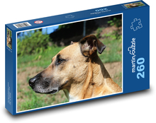 Dog in the Sun Puzzle 260 pieces - 41 x 28.7 cm 