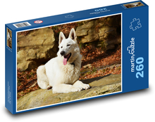 Bílý pes na skále, švýcarský ovčák Puzzle 260 dílků - 41 x 28,7 cm