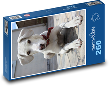 Labrador puppy on the terrace Puzzle 260 pieces - 41 x 28.7 cm