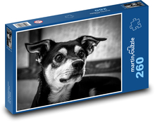 Rätsel für Hundeliebhaber, Schwarz-Weiß-Porträt Puzzle 260 Teile - 41 x28,7 cm