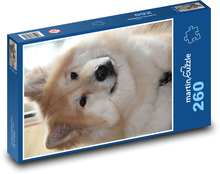 Cute furry dog Puzzle 260 pieces - 41 x 28.7 cm 