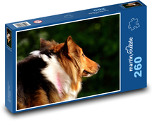 Porträt eines Hundes bei Sonnenuntergang, Collie Puzzle 260 Teile - 41 x28,7 cm
