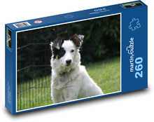 Dog Puzzle 260 pieces - 41 x 28.7 cm 
