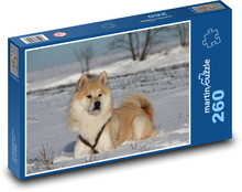 Pes Puzzle 260 dielikov - 41 x 28,7 cm 