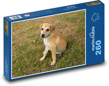 A small dog sitting in the grass Puzzle 260 pieces - 41 x 28.7 cm 
