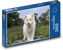 White angel, dog Puzzle 260 pieces - 41 x 28.7 cm