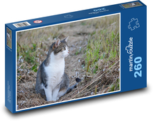 Katze Puzzle 260 Teile - 41 x28,7 cm