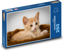 Cat Puzzle 260 pieces - 41 x 28.7 cm 