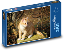 Mačka Puzzle 260 dielikov - 41 x 28,7 cm 
