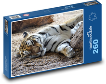 Odpočinek divokého tygra Puzzle 260 dílků - 41 x 28,7 cm
