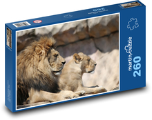 Královská lví dvojice Puzzle 260 dílků - 41 x 28,7 cm